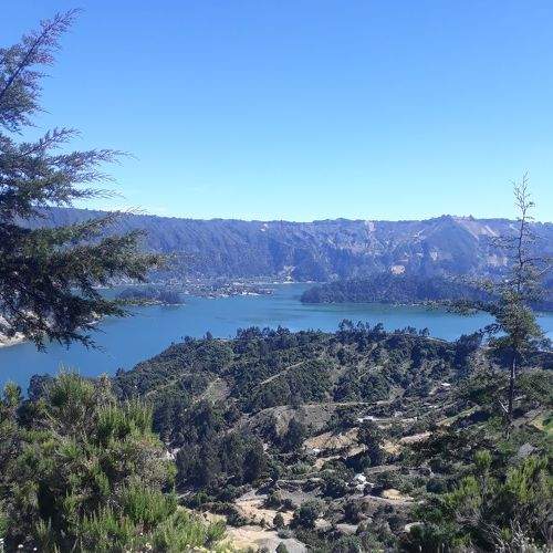 Photo #5986453