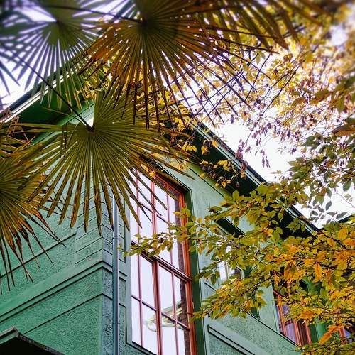 Дача Сталина в Адлере / Stalin's dacha in Adler