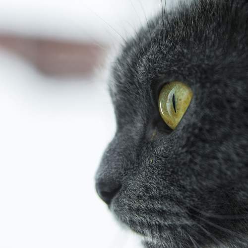 Photo #5987414