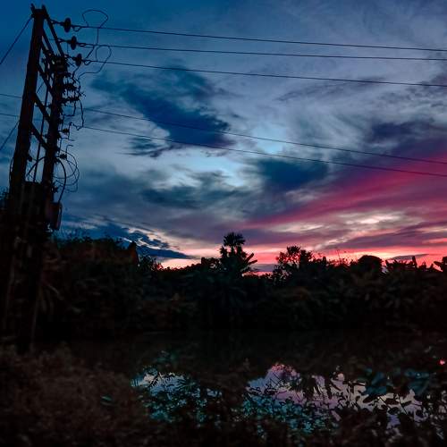 Photo #5988650