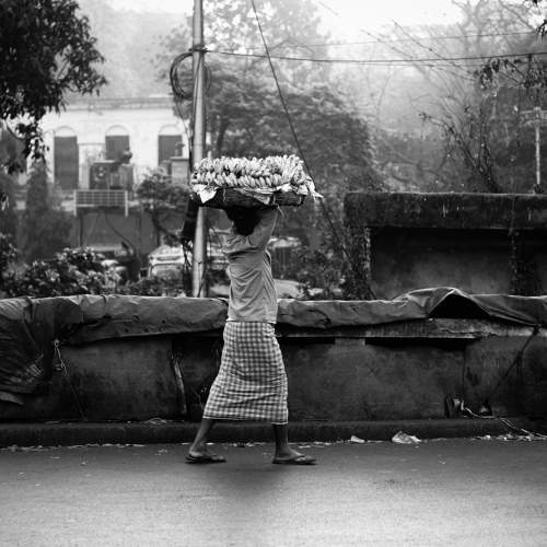 Photo #5988773