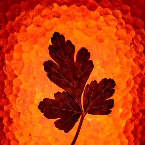 Photo #5988834