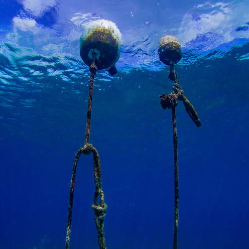 Photo #5988842