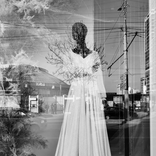Photo #5988846