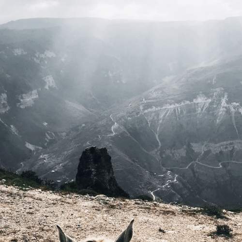Photo #5988881