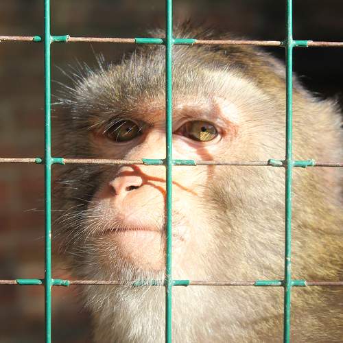 Photo #5989091