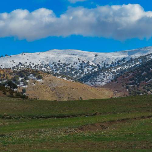 Photo #5989819