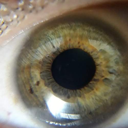 Photo #5990044