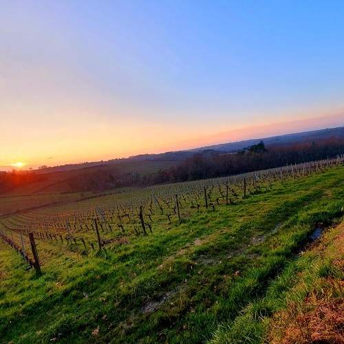 Photo #5990084