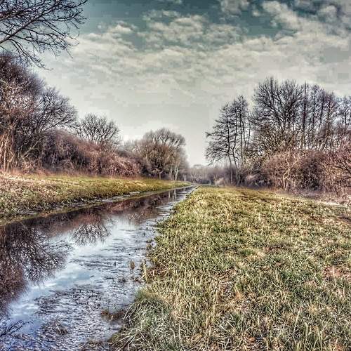 Photo #5990230