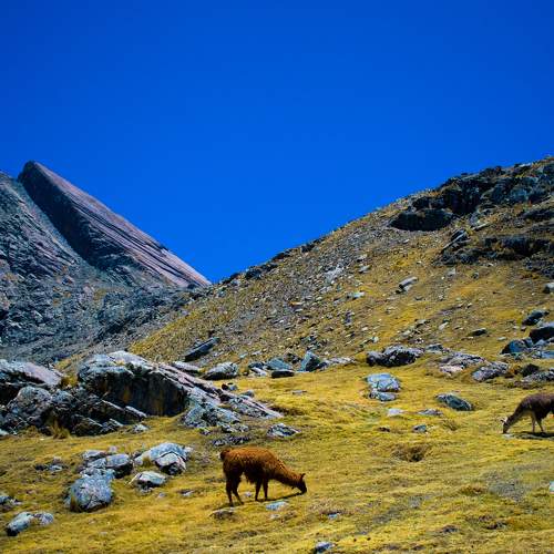 Photo #5990231