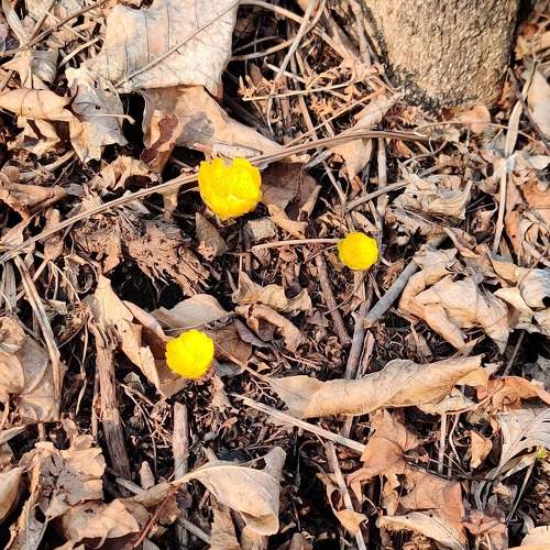 Photo #5990528