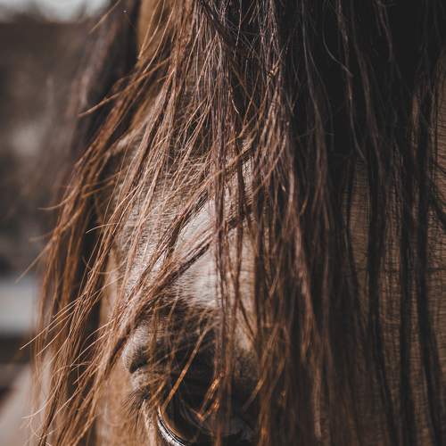 Photo #5991258