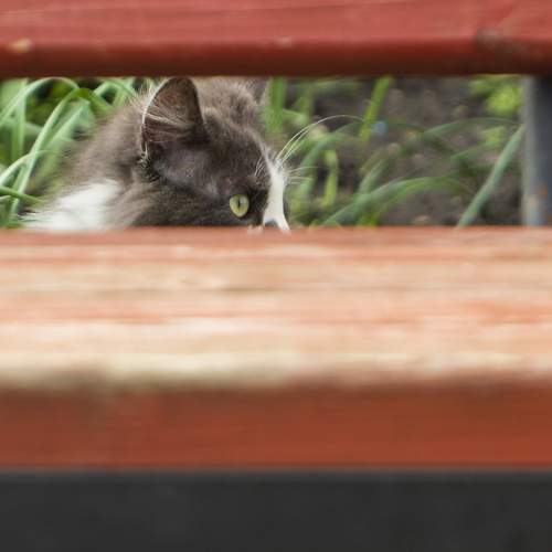 Photo #5991788