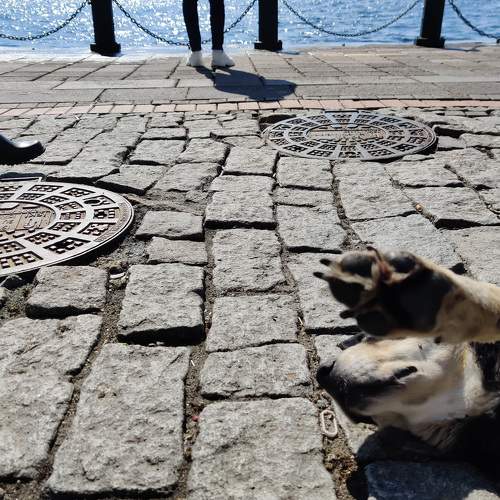 Photo #5991893