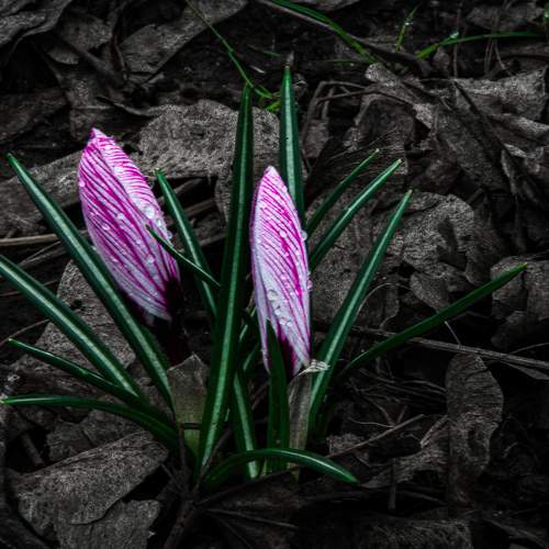 Photo #5991905