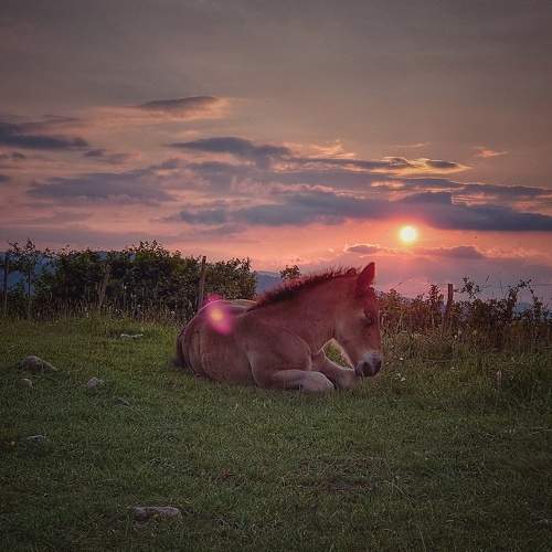 Photo #5992262