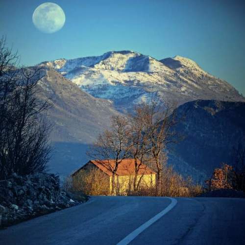 Photo #5992959