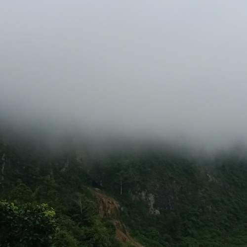 Photo #5993122