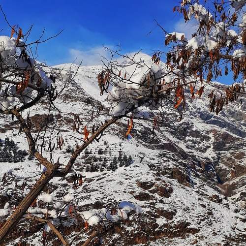 Photo #5993200