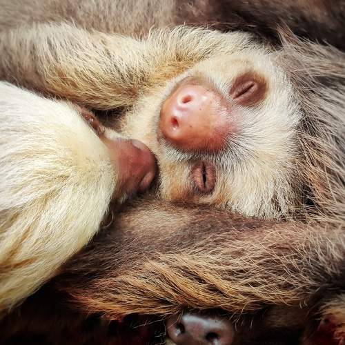 Photo #5993321