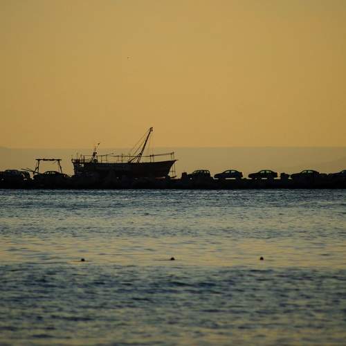 Photo #5993354