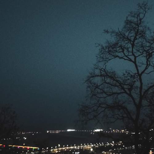 Photo #5993623