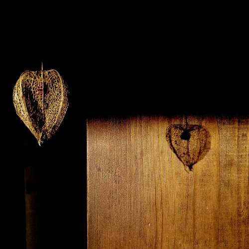 Amour en cage