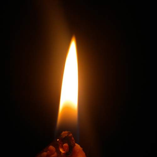 Photo #5994200
