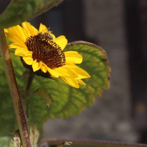 Photo #5994206