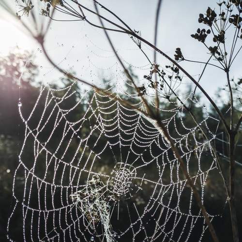 Photo #5994371