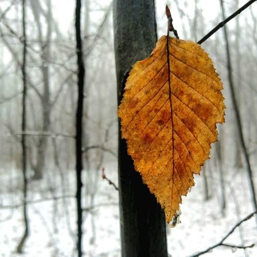 Photo #5994488