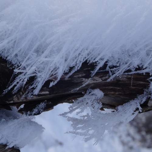 Photo #5994523