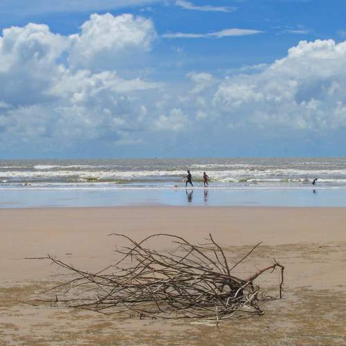 Photo #5994666