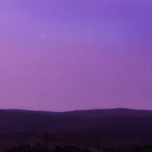 Photo #5994884