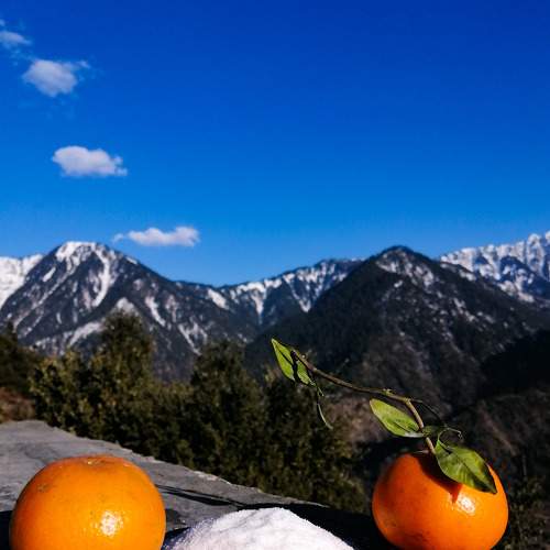 Photo #5994933