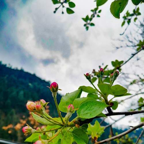 Photo #5994934