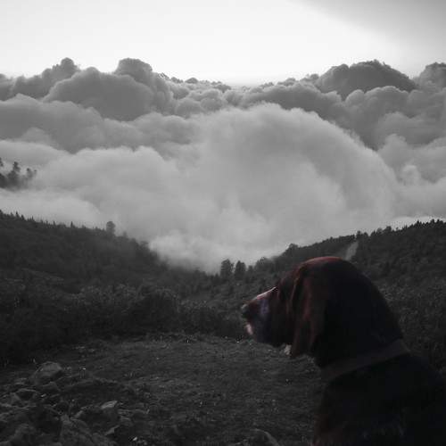 Photo #5995295