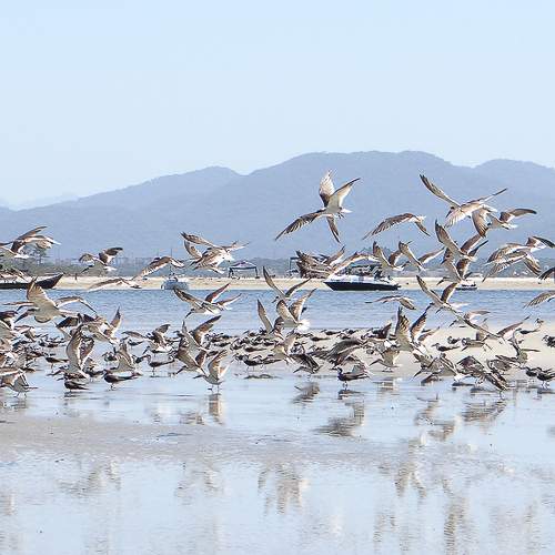Photo #5995537