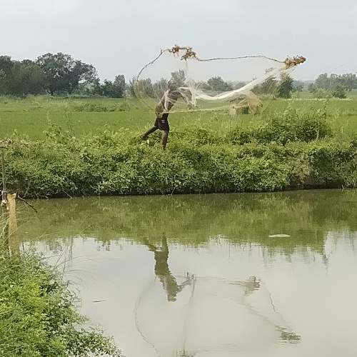 Photo #5995717
