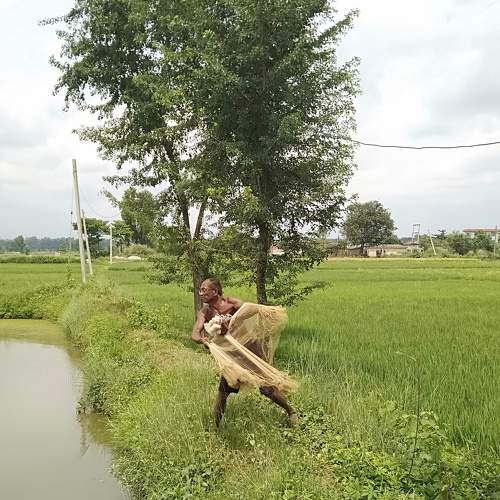 Photo #5995724