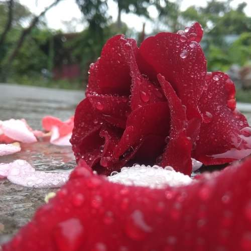 Photo #5996065
