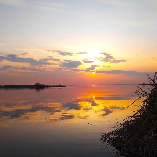 Photo #5996098