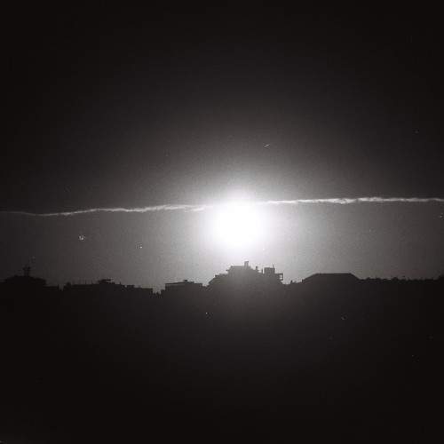 Photo #5996449