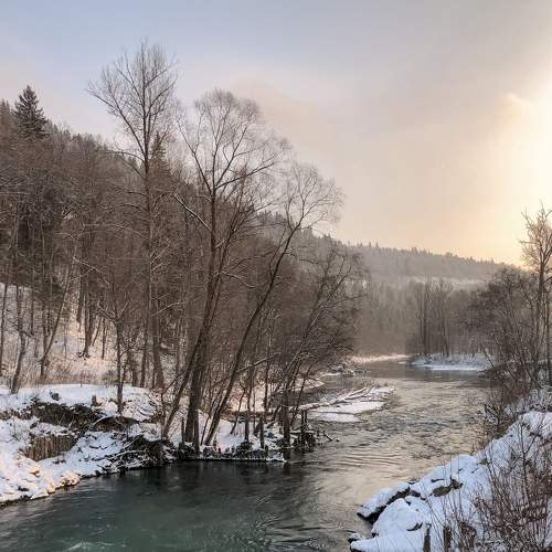 Stream