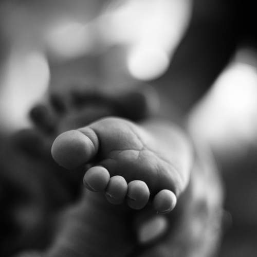 Photo #5996948