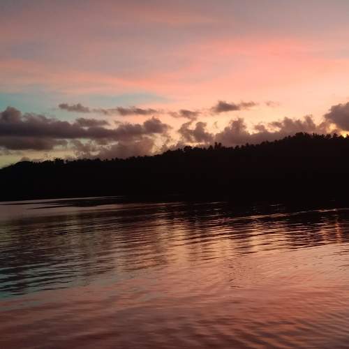 Photo #5997200
