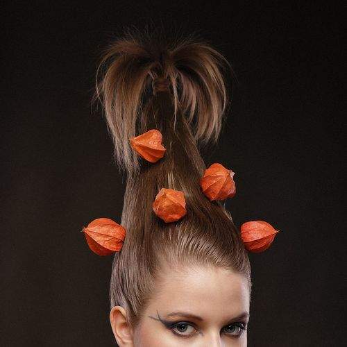 Photo #5997738