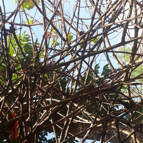 Photo #5998018