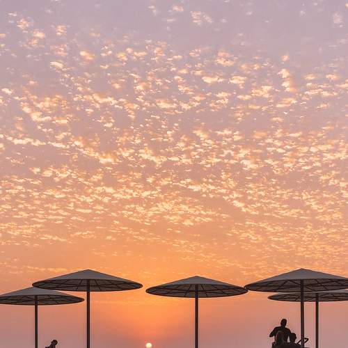 Photo #5998374